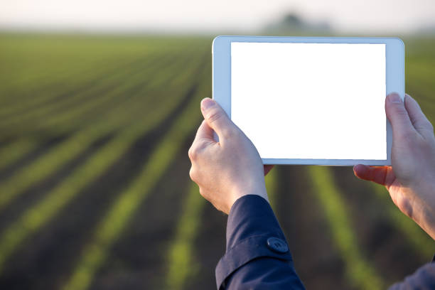 istock Farmer holding tablet with blank display in field 1161889463