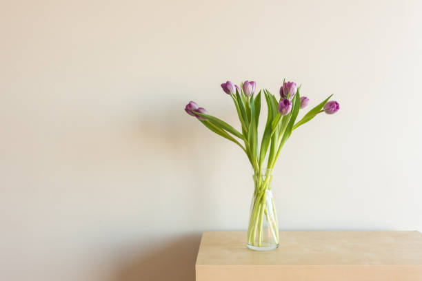 istock Purple tulips on shelf against wall 1161890171