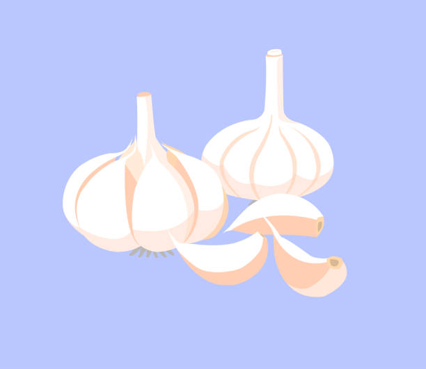 illustrazioni stock, clip art, cartoni animati e icone di tendenza di spicchi d'aglio e aglio isolati su sfondo blu. - garlic