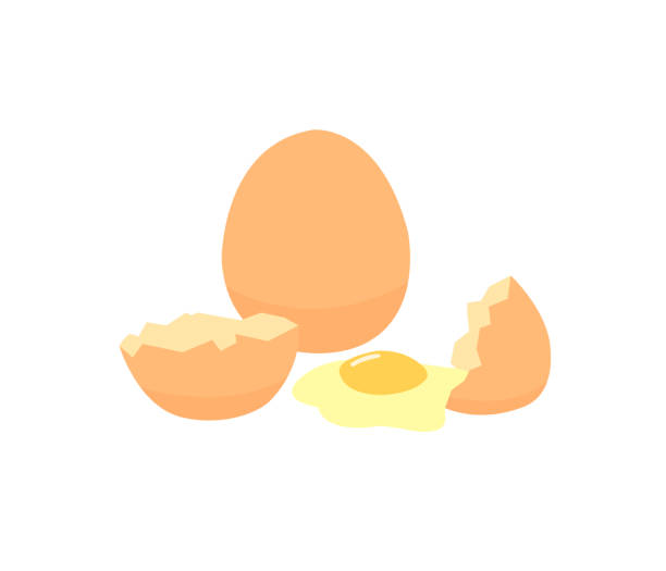 eier isoliert auf weißem hintergrund. eier sind eine billige proteinquelle. eier und muscheln auf weißem hintergrund. - eggs animal egg broken yellow stock-grafiken, -clipart, -cartoons und -symbole