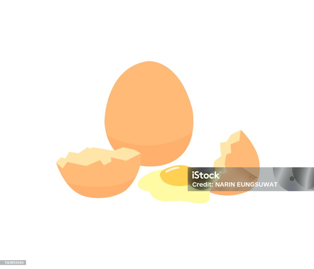 Eggs Isolated On White Background Eggs Are A Cheap Source Of Protein Eggs  And Shells On White Background Stock Illustration - Download Image Now -  iStock