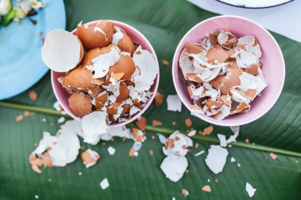 vue supérieure des coquilles bouillies d'oeuf dans le petit bol sur des lames de banane sur la table dans le village d'akha de maejantai sur la colline à chiang mai, thaïlande. - protein isolated shell food photos et images de collection