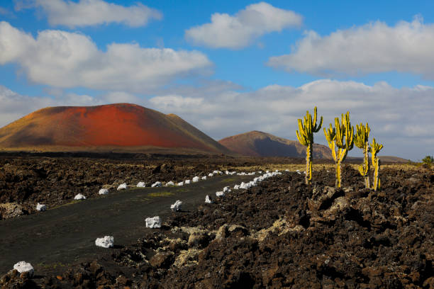 istock Lava plain on Lanzarote, Canary Islands 1161902930