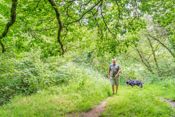 istock Senior Caucasian man in woodland 1161904090