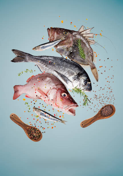 Flying raw sea fish with ingredients for cooking. Food preparation concept