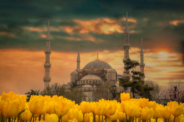 istock Beautiful sunrise over the Blue Mosque (Sultan ahmet Camii), Istanbul, Turkey. 1161911036