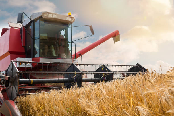istock combine harvester in action during the summer 1161911076