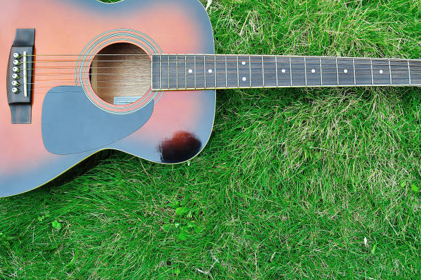 Classic Guitar on the Lawn