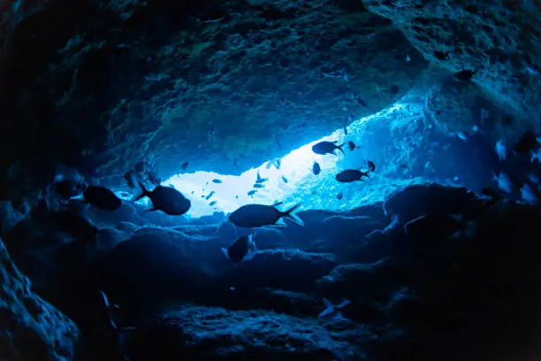 Photo of Rays of sunlight into the underwater cave