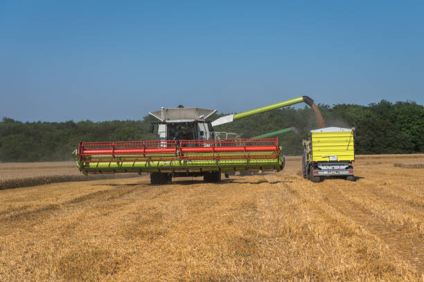 istock Combine harvester in action on wheat field. 1161915198