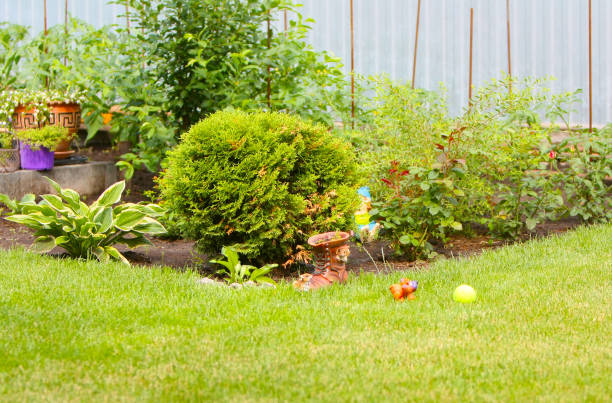 istock Green design area near her house 1161917594