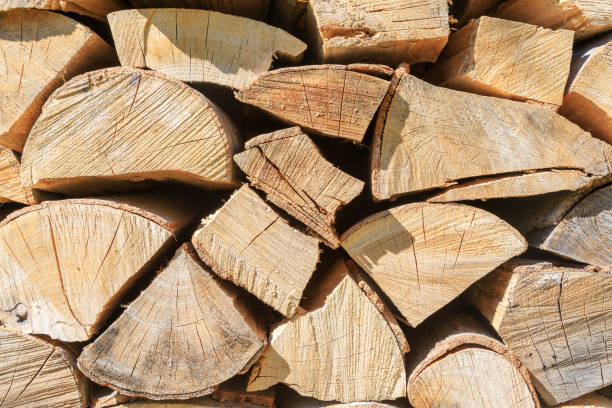 istock Picture of logs stacked on pile. 1161918900