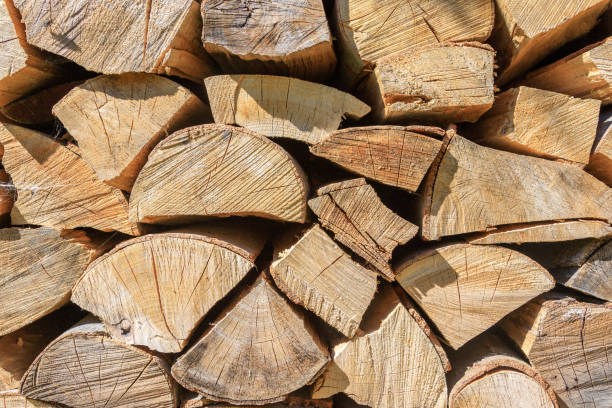 istock Picture of logs stacked on pile. 1161919185