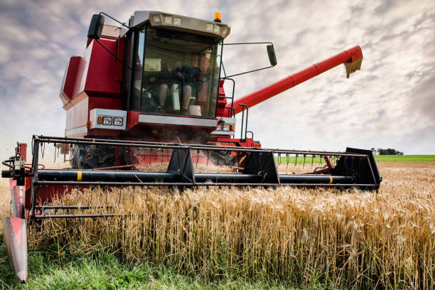 istock beautiful landscape with a combine harvester in action 1161921986