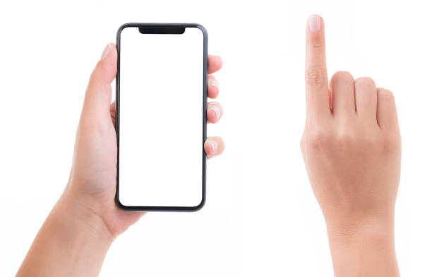 Hand holding blank white screen smart phone stock photo