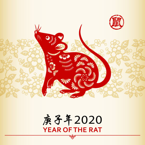 illustrazioni stock, clip art, cartoni animati e icone di tendenza di rattus cinese - year