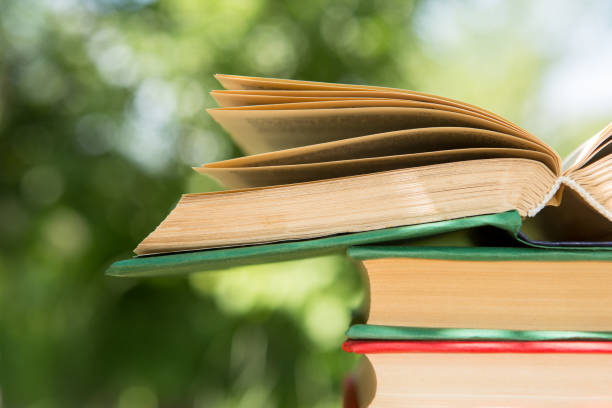 istock Studying in summer concept. Open book in a garden, sunny summer day 1161924868