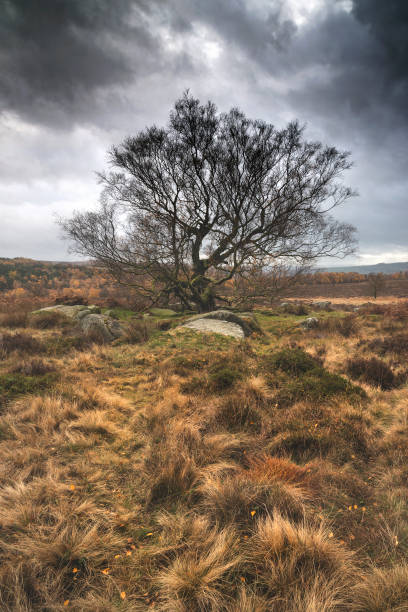 Scenic landscape view from Owler Tor in Peak District in Enlgand during Autumn Fall