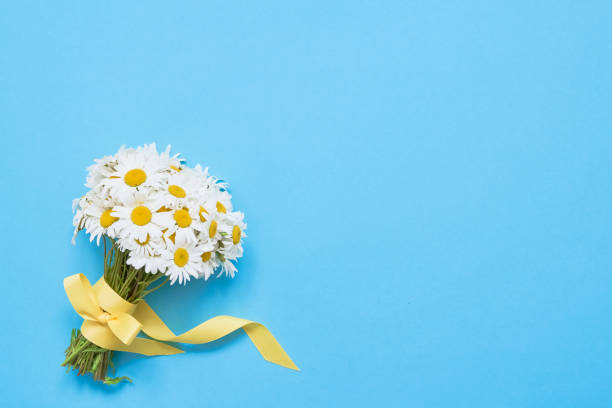istock Daisy flowers bouquet on light blue background. Top view, copy space. Greeting card 1161926678