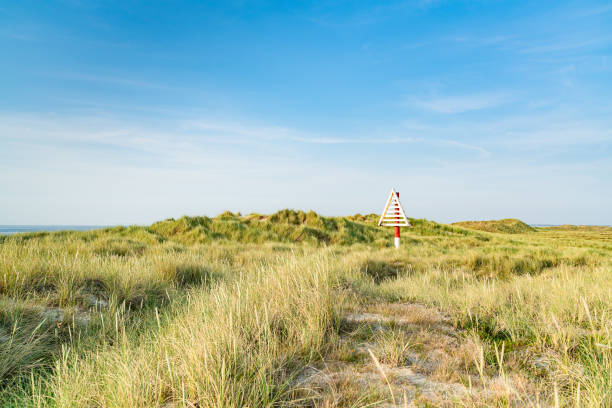 Lighthouse red white on dune vertical. Focus on background with lighthouse.