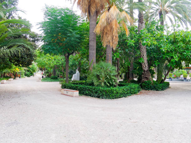 istock A beautiful garden in a palm grove in Elche. 1161930365