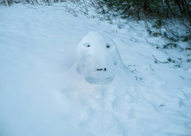 Funny concept of melting snowman in spring on green grass. Canon 1Ds Mark III