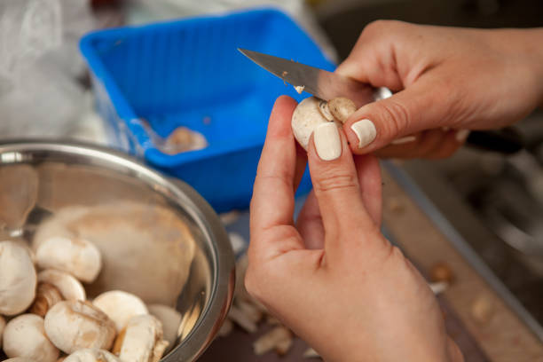 Human Hands Cutting Porcini Mushrooms in Slices