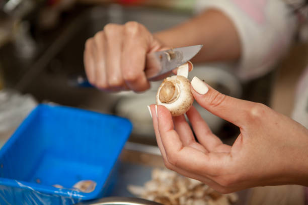 Human Hands Cutting Porcini Mushrooms in Slices
