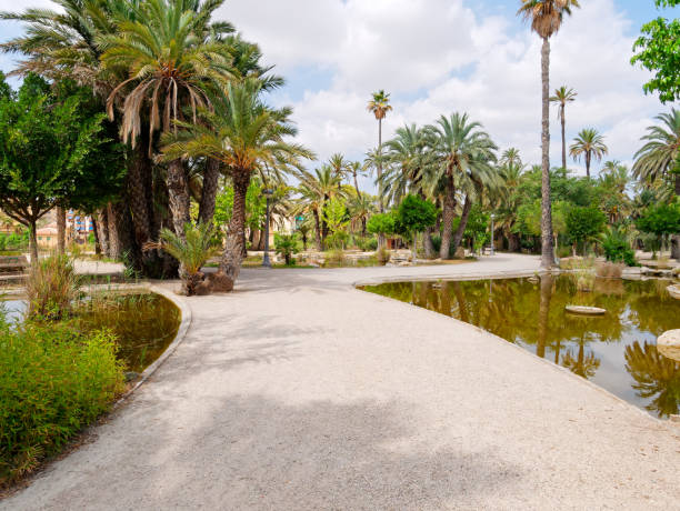 istock A beautiful garden in a palm grove in Elche. 1161931706