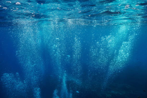 istock Air bubbles rising to water surface natural scene 1161932827