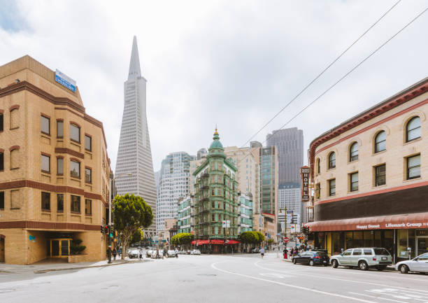 skyline de san francisco com pirâmide de transamerica e torre de columbus, califórnia, eua - chinatown san francisco chinatown san francisco county cityscape - fotografias e filmes do acervo