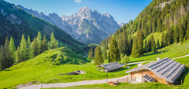 Idyllic landscape in the Alps with traditional mountain chalets and fresh green mountain pastures in summer