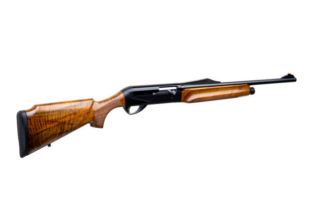 istock Modern semi-automatic hunting rifle with a wooden butt in an open plastic case. Isolate on a white background. 1161938111