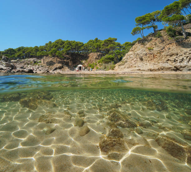 istock Mediterranean cove with rock and sand underwater 1161940539