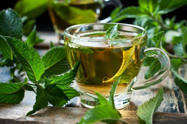 istock Close-up cup of mint tea with herbs 1161941545