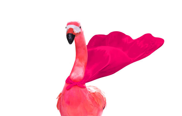 istock gay pink falmingo super hero 1161942035