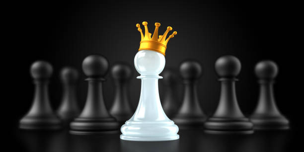 istock Chess pawn with golden crown. Leadership concept 1161946123