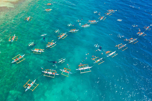 istock Oslob Whale Shark Watching in Philippines, Cebu Island 1161950461