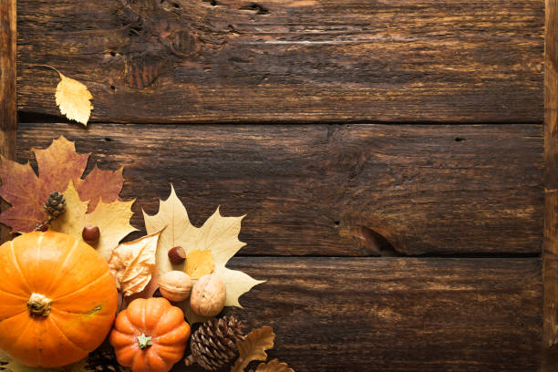 istock Thanksgiving or Autumnal background 1161950980