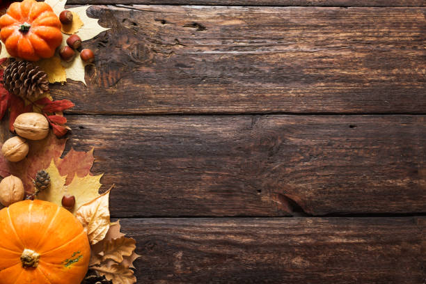 istock Thanksgiving or Autumnal background 1161951055