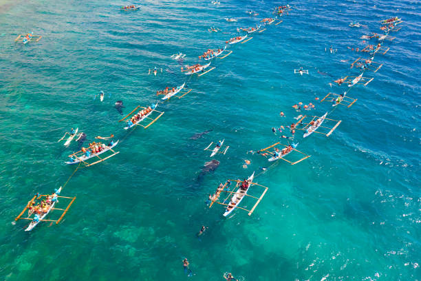 istock Oslob Whale Shark Watching in Philippines, Cebu Island 1161951747