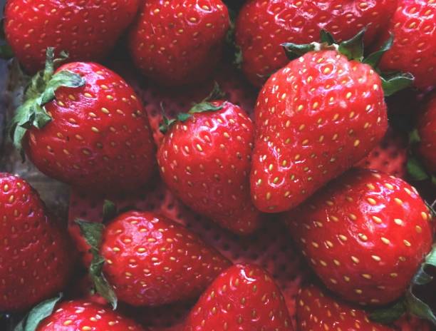 strawberries, fruit arrangement in a hazy order, in a container with a red background. Wallpaper