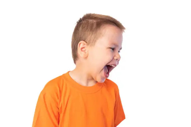 Cute little boy having fun laughing, isolated on white background for any purpose