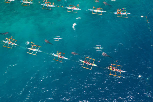 istock Oslob Whale Shark Watching in Philippines, Cebu Island 1161955124