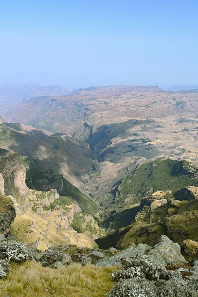 istock Ethiopia.Mountain Simen National Park. 1161956076