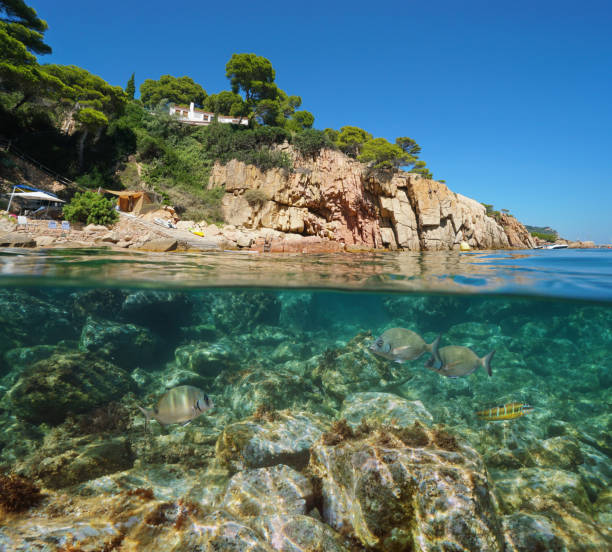 istock Spain Costa Brava rocky coast with fish underwater 1161956183