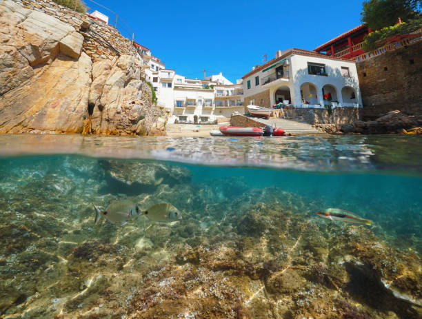 istock Spain Costa Brava houses and fish underwater 1161956184