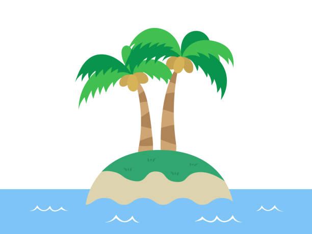 stockillustraties, clipart, cartoons en iconen met palmboom - onbewoond eiland