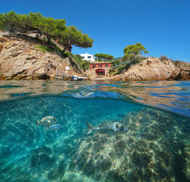 istock Spain Costa Brava house on coast fish underwater 1161956350
