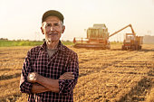 Farmer controlled harvest in his field stock photo